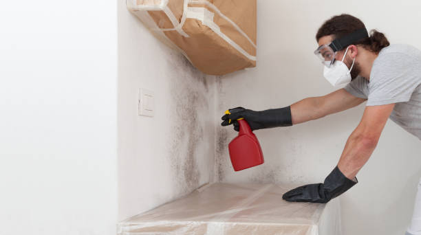 Professional Mold Removal technician working in Hallieford, VA