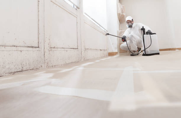 24/7 Emergency Mold Removal experts in Hallieford, VA